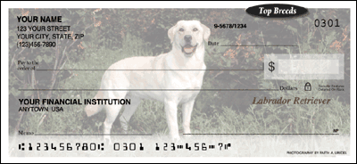 Labrador Retriever checks