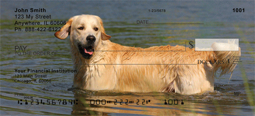 Golden Retriever checks