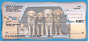 Dog Adventures checks